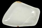 Polished Onyx (Aragonite) Decorative Bowl - Morocco #251137-1